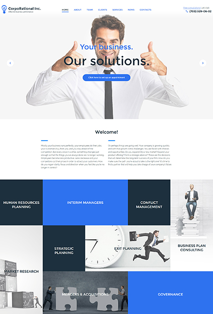 business consultant WP theme