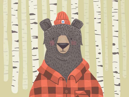 Bear-Illustration-01