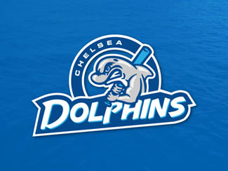 Dolphin-logo-26