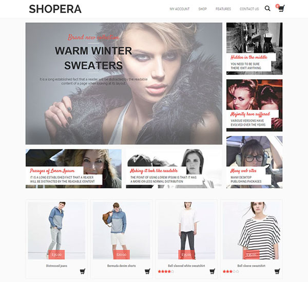 Free-ecommerce-wordpress-theme-19