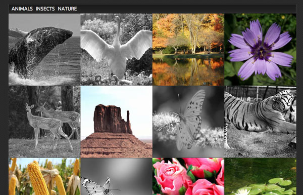 jQuery-Grid-Gallery-13