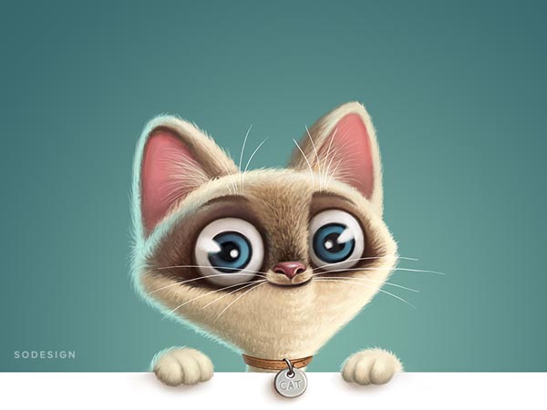 Cat-Illustration-28