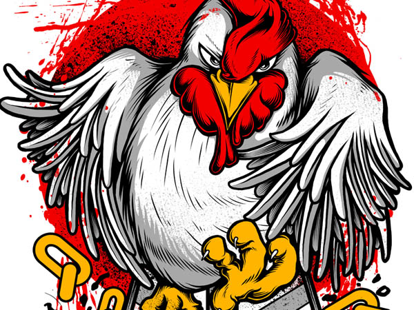 chicken-illustration-10