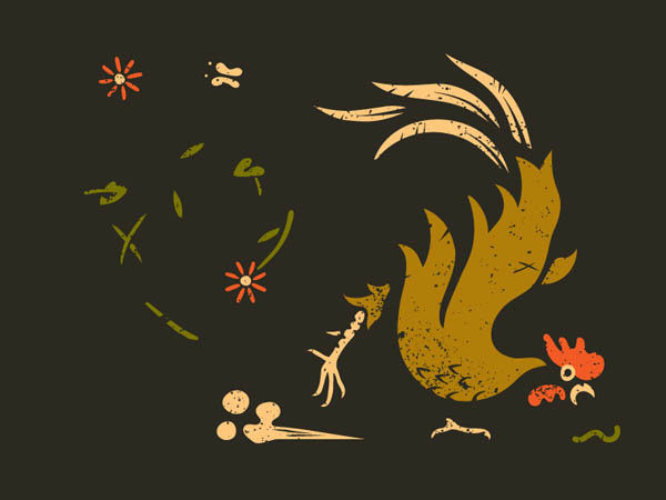 chicken-illustration-14