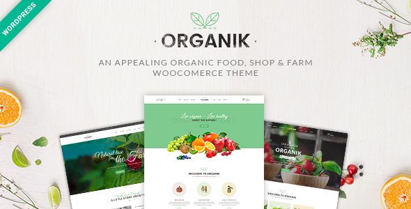 organic-woocommerce-theme-05