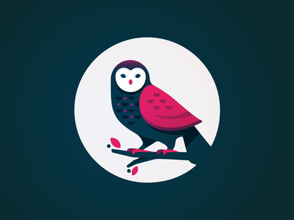 owl illustration